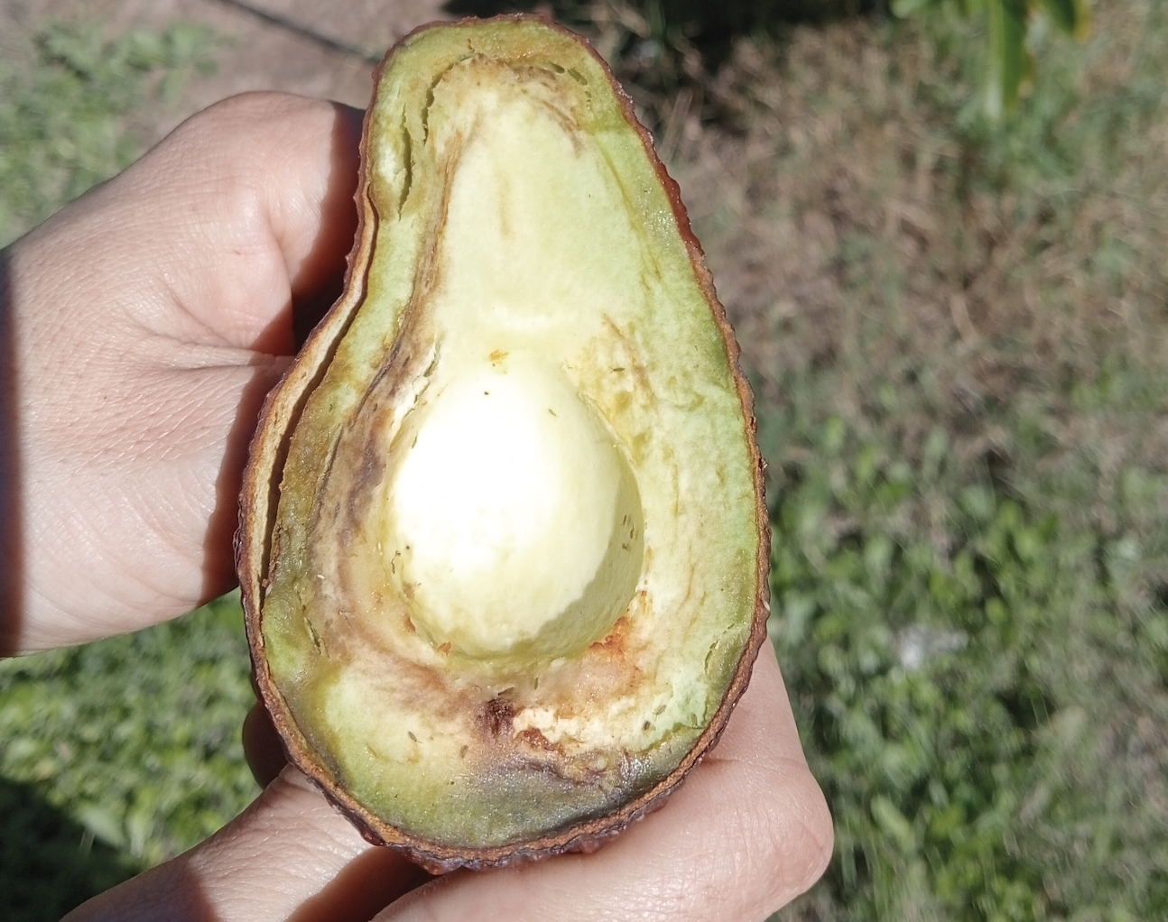 heladas