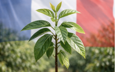 Formatión en France